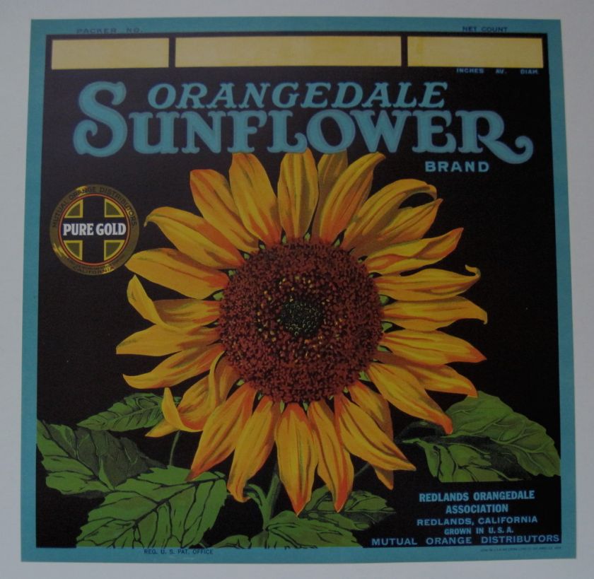 SUNFLOWER Orange Crate Label Redlands CA BIG SUNFLOWER  